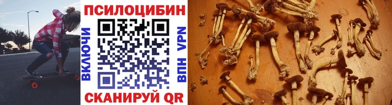 Галлюциногенные грибы Psilocybine cubensis  Тулун 