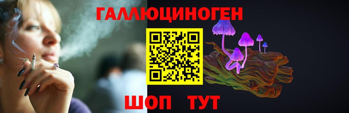 Псилоцибиновые грибы прущие грибы Тулун